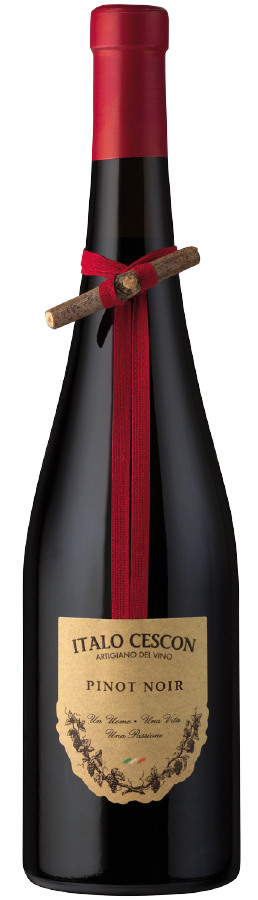 Italo Cescon - il tralcetto - pinot noir '24