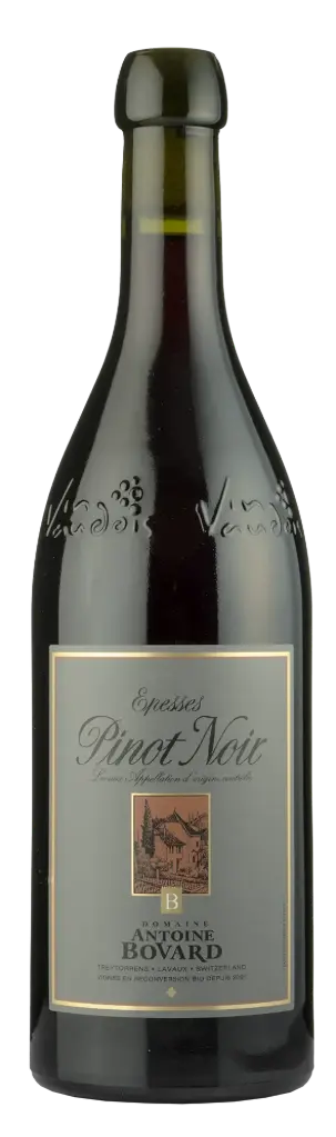Bovard pinot noir - Epesses grand cru '22