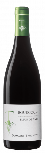 Domaine Truchetet Bourgogne rouge Fleur de Pinot '23 