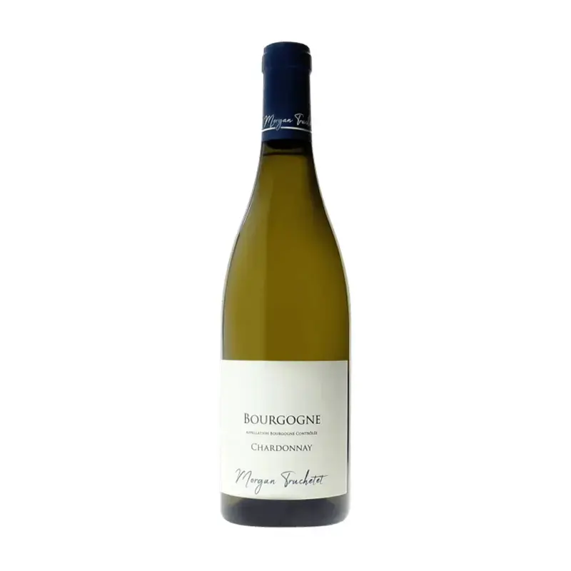 Morgan Truchetet, Bourgogne Chardonnay '23 