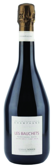 Champagne Nowack, les Bauchets '21 - pinot noir