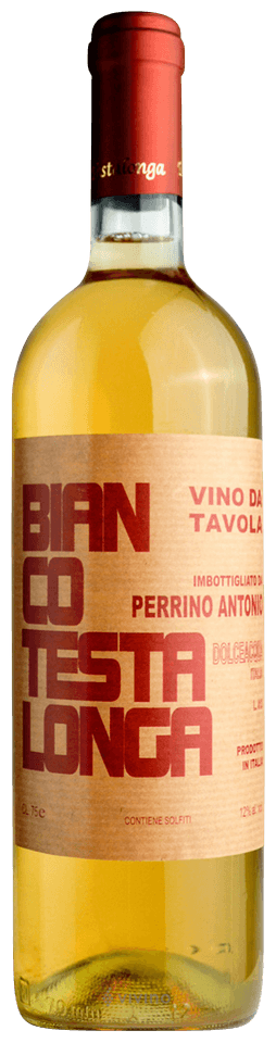 Testalonga bianco '24