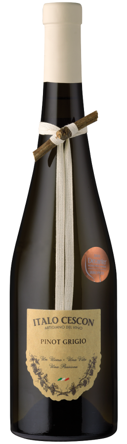 Italo Cescon - il tralcetto - pinot grigio '25