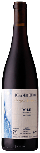 Domaine de Beudon Diolinoir '16