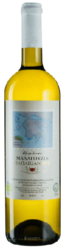 Papaioannou wit malagouzia '25
