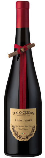 Italo Cescon - il tralcetto - pinot noir '24