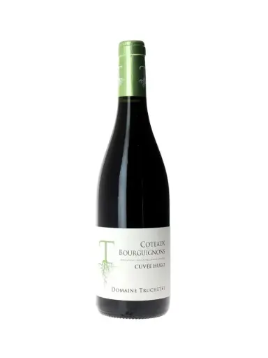 Domaine Truchetet Côteaux Bourguignons rouge -Cuvée Hugo- '23