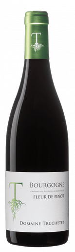 Domaine Truchetet Bourgogne rouge Fleur de Pinot '23 