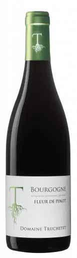 Domaine Truchetet Bourgogne rouge Fleur de Pinot '23 