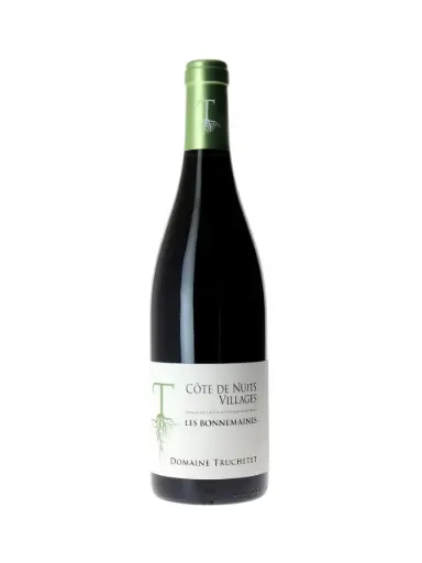 Domaine Truchetet Côte de Nuits Villages rouge '23