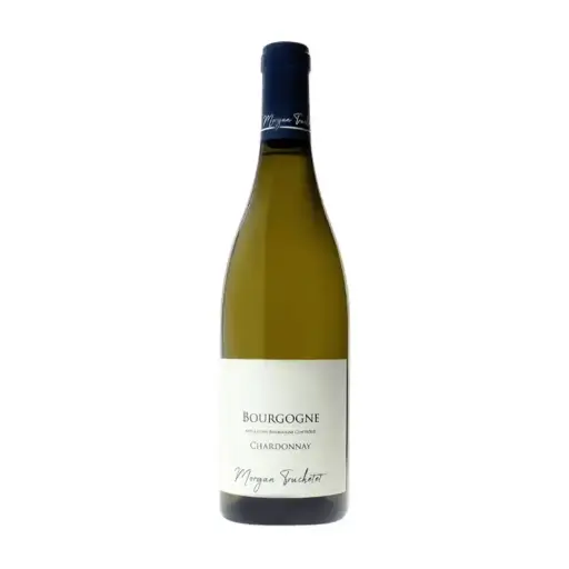Morgan Truchetet, Bourgogne Chardonnay '23 